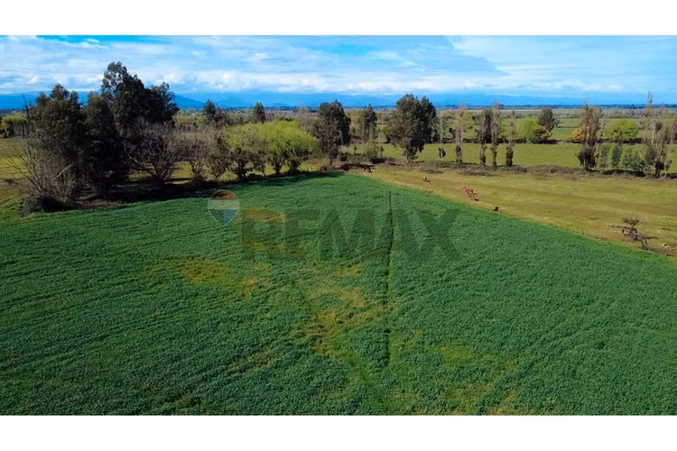 Oportunidad inversión agroind 21,5 ha talca