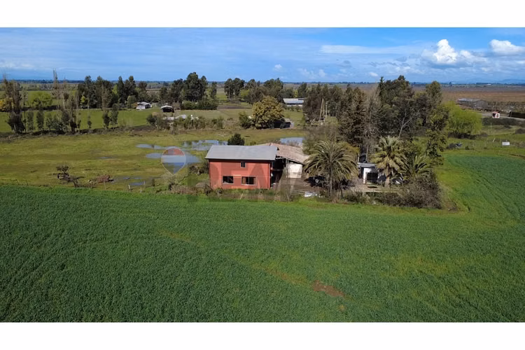 Oportunidad inversión agroind 21,5 ha talca