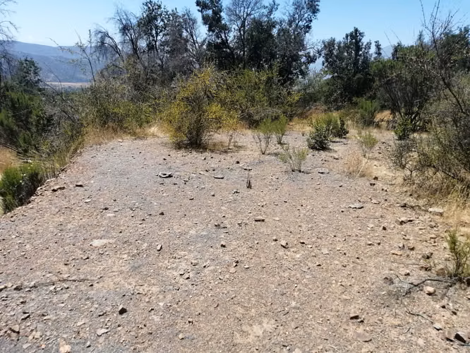TERRENO 3,2 HA PARA PARCELA AGRADO BOSQUES DE ACULEO PAINE - Imagen 8