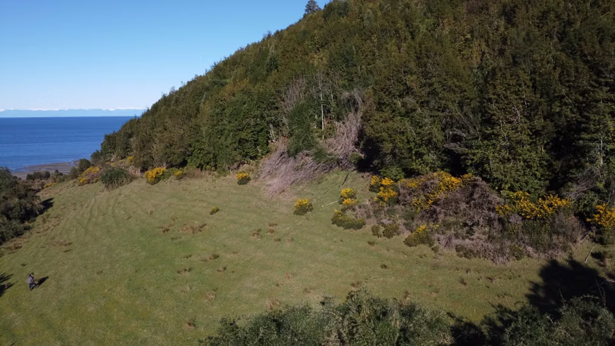 CAMPO EN QUEMCHI A 100 METROS DEL MAR, ESPECTACULARES VISTAS