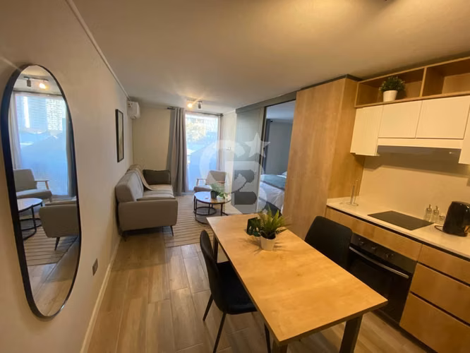 Departamento 1D/1B | Barrio Italia, Providencia