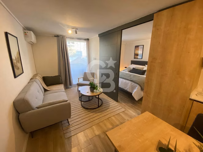 Departamento 1D/1B | Barrio Italia, Providencia