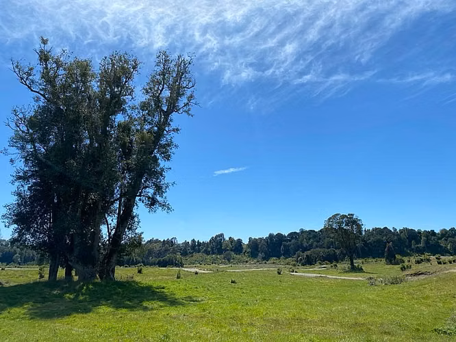 VIVE RUPANCO, PUYEHUE, REGIÓN DE LOS LAGOS - Imagen 17