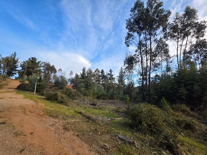 Parcelas, Terrenos, Copiulemu, Florida, 25 min Concepción