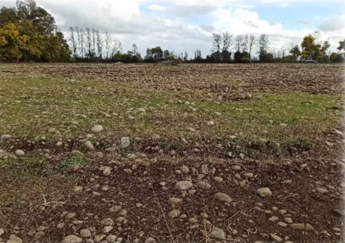 PROPIEDAD AGRÍCOLA EN VENTA, CAMPO DE 27,73 HA - Imagen 2