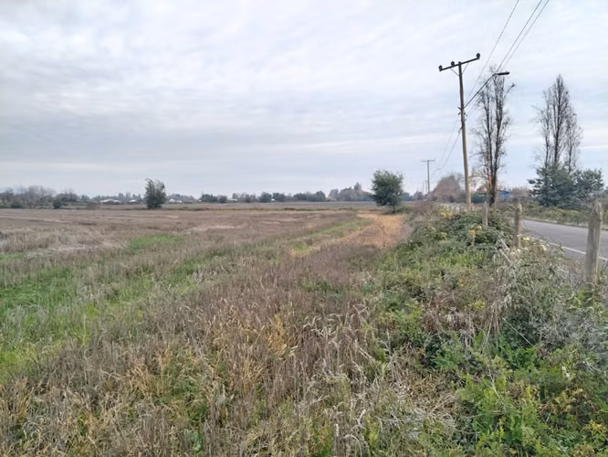 EXCELENTE CAMPO DE 12 HA VERSATIL E IDEAL PARA INVERSION - Imagen 12