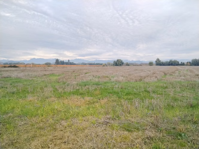 EXCELENTE CAMPO DE 12 HA VERSATIL E IDEAL PARA INVERSION - Imagen 14