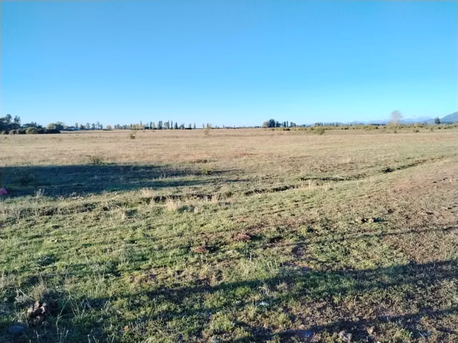 CAMPO 44 HA AGUA BUEN ACCESO IDEAL AVELLANO RIO CLARO VII R - Imagen 10