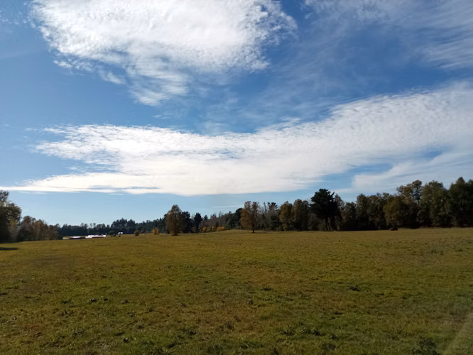VILLARRICA PARCELAS PLANAS DE ENSUEÑO - Imagen 7