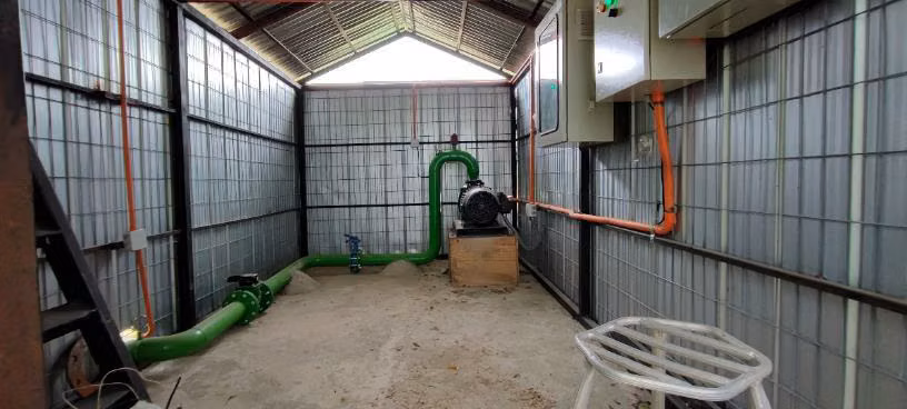 CAMPO CON VIÑEDO, PROPIEDAD AGRÍCOLA EN PENCAHUE, 100 HA