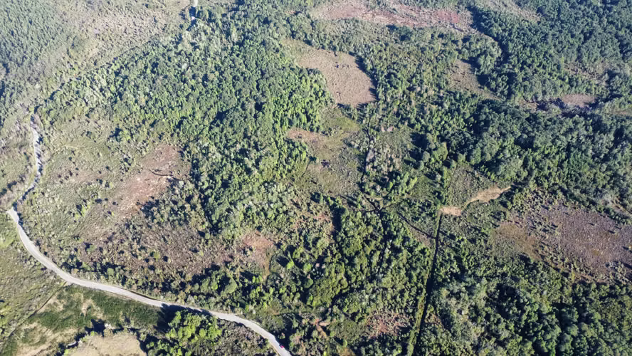 OPORTUNIDAD CAMPO 30HA CON RIO Y BOSQUE NATIVO