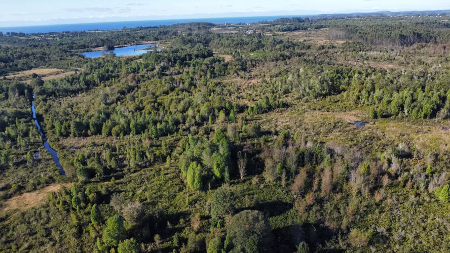OPORTUNIDAD CAMPO 30HA CON RIO Y BOSQUE NATIVO