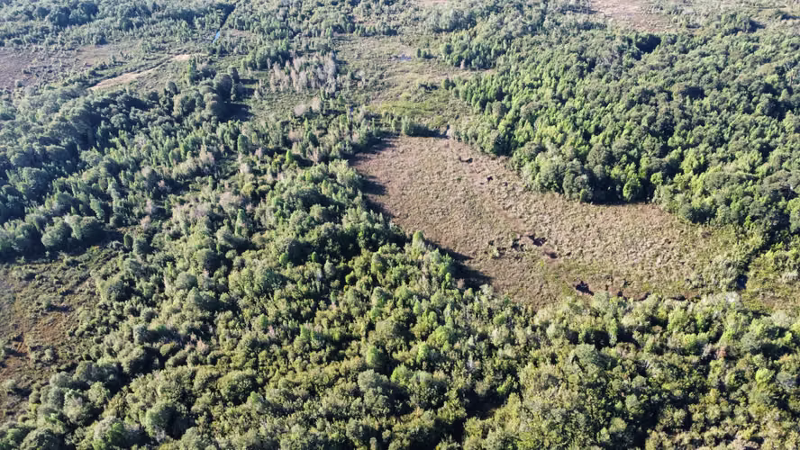 OPORTUNIDAD CAMPO 30HA CON RIO Y BOSQUE NATIVO