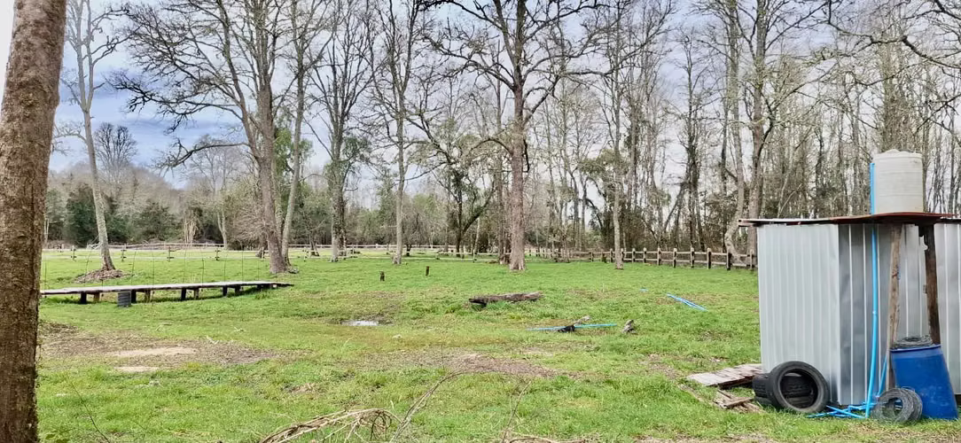 PARCELA DE 5000 M2 EN FOLILCO LOS LAGOS - Imagen 17