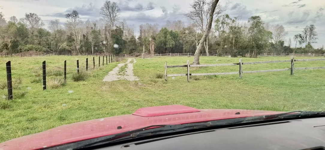 PARCELA DE 5000 M2 EN FOLILCO LOS LAGOS - Imagen 12