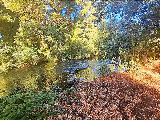 VENDO GRAN TERRENO CON ACCESO A RIO, A ORILLA DE CARRETERA - Imagen 7