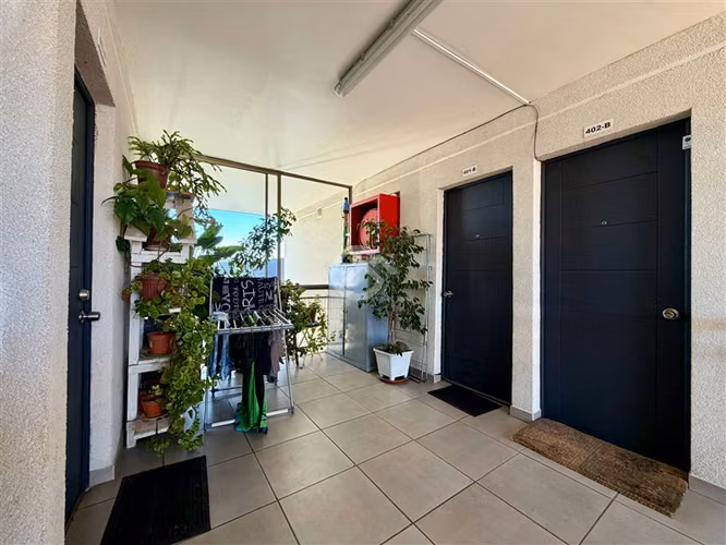 Departamento en arriendo de 3 dorm. en Cauquenes