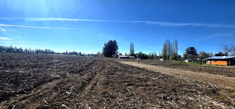 Vendo parcela 5.000m2 camino El Peral - Imagen 13