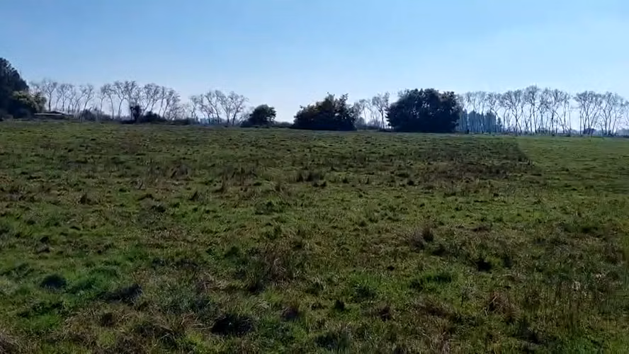 CAMPO AGRÍCOLA EN VENTA, PROPIEDAD AGRÍCOLA DE 20 HA PELARCO - Imagen 7