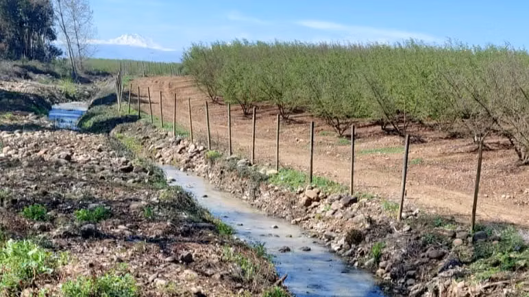 CAMPO AGRÍCOLA EN VENTA, PROPIEDAD AGRÍCOLA DE 20 HA PELARCO - Imagen 13