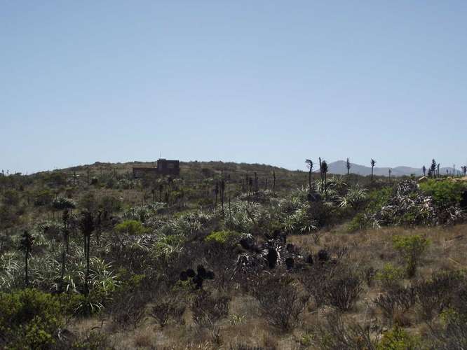 VENTA PARCELA, ROCAS DEL MAR, LOS MOLLES (183302)