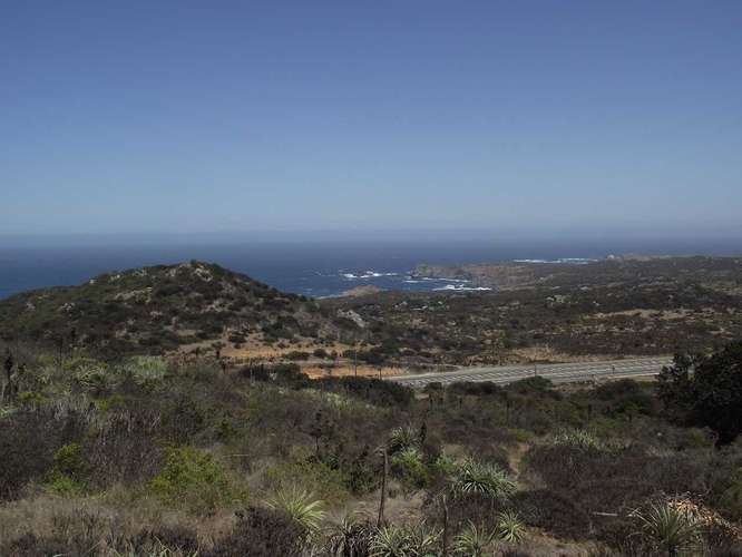 VENTA PARCELA, ROCAS DEL MAR, LOS MOLLES (183302)