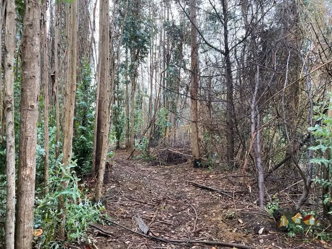 Parcela de 7,5 has. a orillas del Río Donguil, Gorbea. - Imagen 2