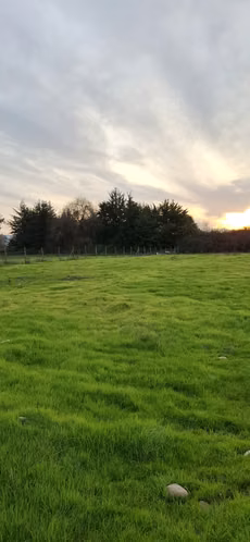 Atractiva Parcela el oliveto