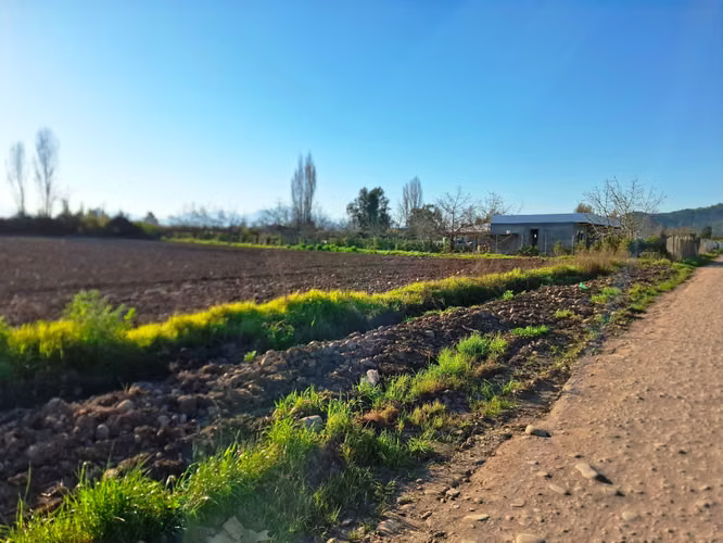 Venta parcela Nogales de Requinoa (183323) - Imagen 2
