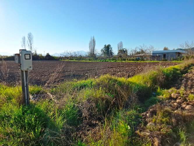 Parcela en venta Requinoa (183323)