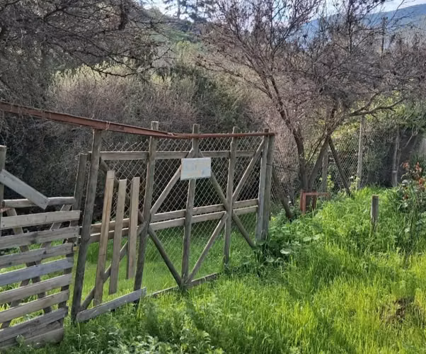 HERMOSO TERRENO EN OLMUE - Imagen 1