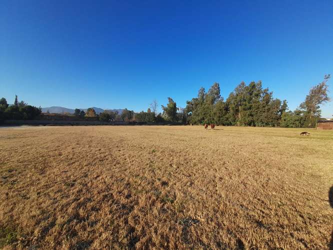 Venta Terreno Urbano Comercial Machalí (183342)