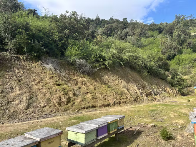VENTA TERRENO, EN LA LAJUELA, VALLE DE COLCHAGUA