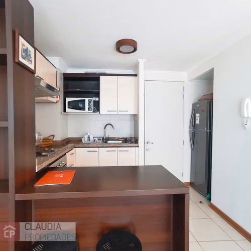 Arriendo 1 Dorm - Amoblado Plan Valparaiso - Imagen 4
