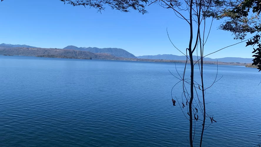 SE VENDE PARCELA PLAYA LAGO CALAFQUEN - Imagen 3