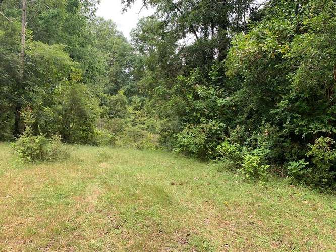 SE VENDE PARCELA 31 HA PANGUIPULLI