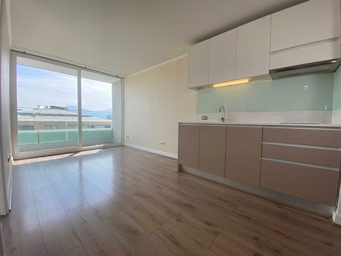 Remodelado 1D1B en Carrión 1507 | 37 m² Total (183367)