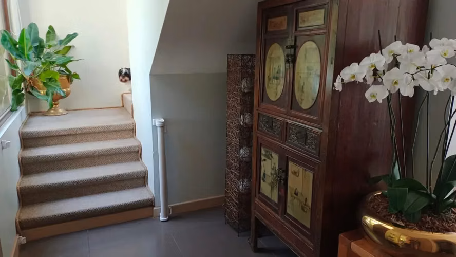 Venta Casa Brisas Norte Chicureo - Imagen 3
