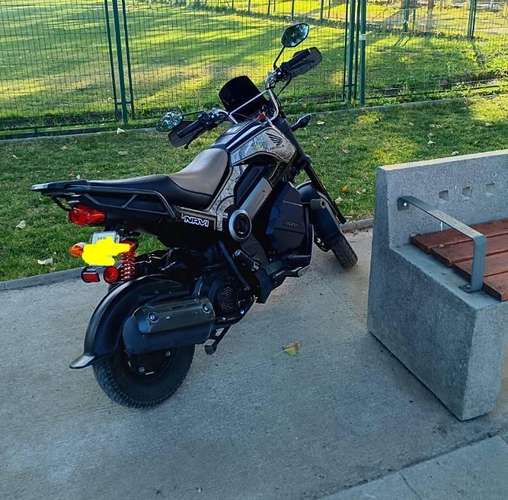 honda navi