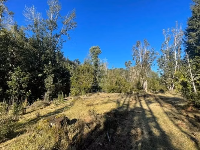 Fundo 165 ha km 1050 Ruta 5 Sur