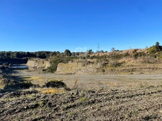 Fundo 165 ha km 1050 Ruta 5 Sur