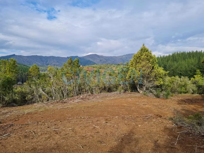 Cerca del Ancoa/Achibueno 5000m2 (183394) - Imagen 14