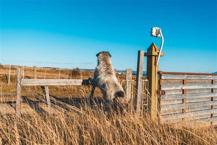 2 Casas en venta en Puerto Bories en Natales para turismo