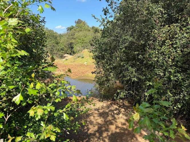 TERRENO RURAL 10,9 HA LO OROZCO PUCHUNCAVI (183402)