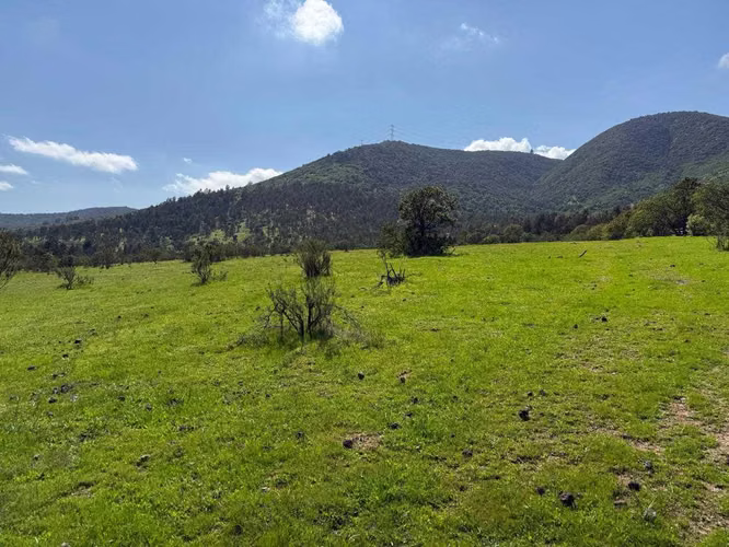 TERRENO RURAL 10,9 HA LO OROZCO PUCHUNCAVI (183402)