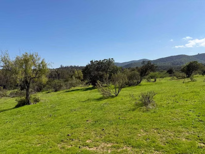 TERRENO RURAL 10,9 HA LO OROZCO PUCHUNCAVI (183402)