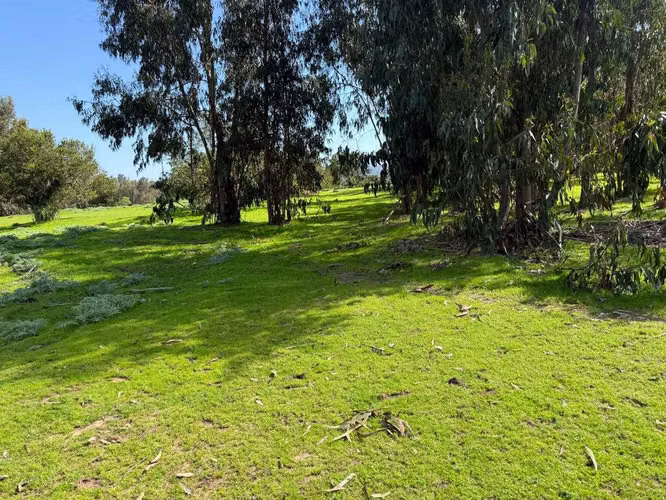 TERRENO RURAL 10,9 HA LO OROZCO PUCHUNCAVI (183402)
