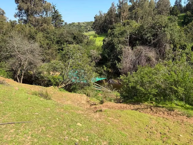 TERRENO RURAL 10,9 HA LO OROZCO PUCHUNCAVI (183402)