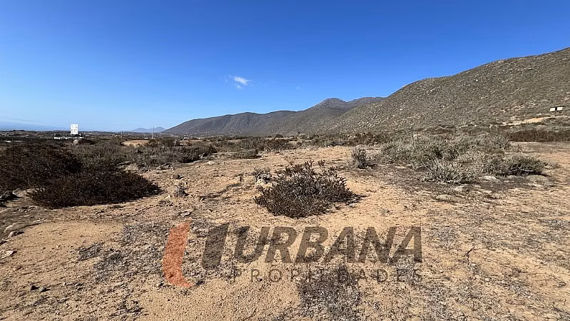 Sitio SITIO 10.000M2 EN ARRAYAN COSTERO LA SERENA - Imagen 14