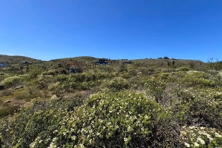 Parcela en rocas del mar | los molles | rol propio - Imagen 4